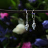 Agnes dogwhelk hooks