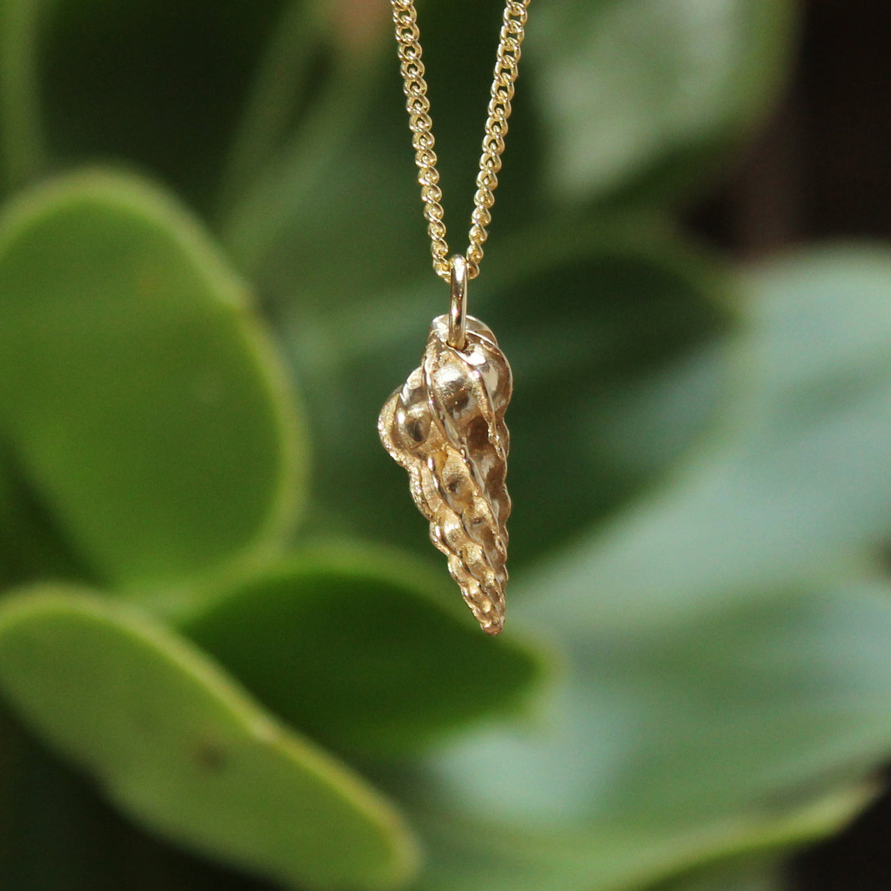 St Martin's small wentletrap - 9ct yellow gold