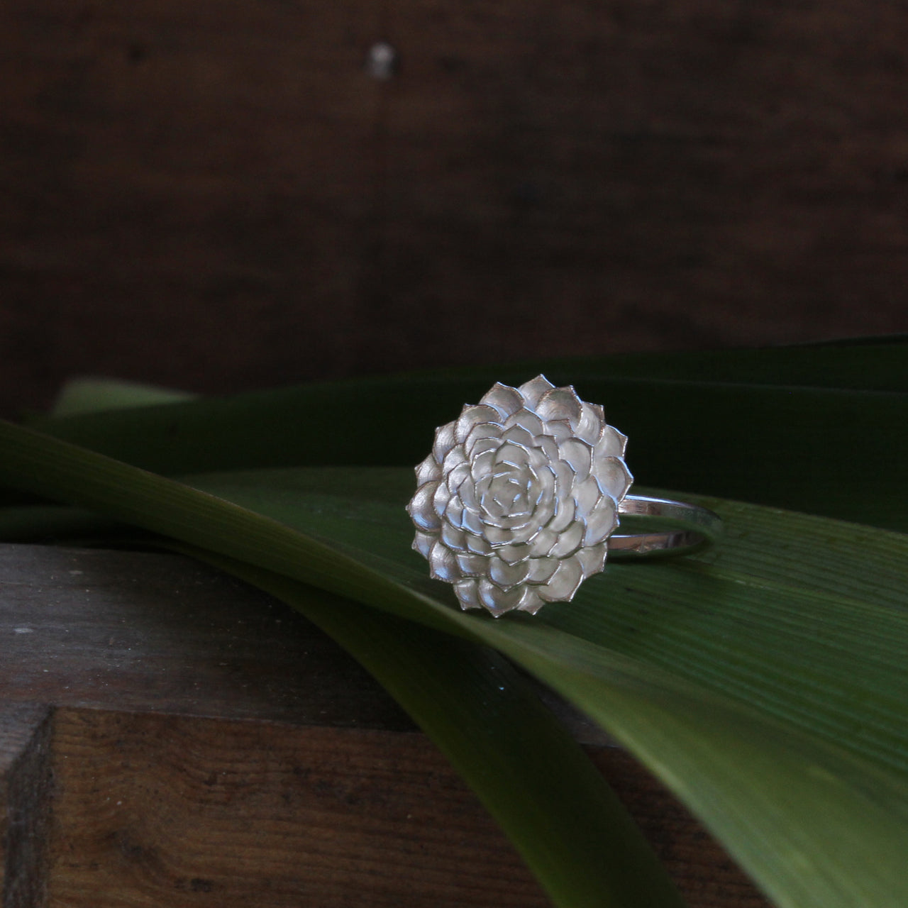Aeonium ring - silver