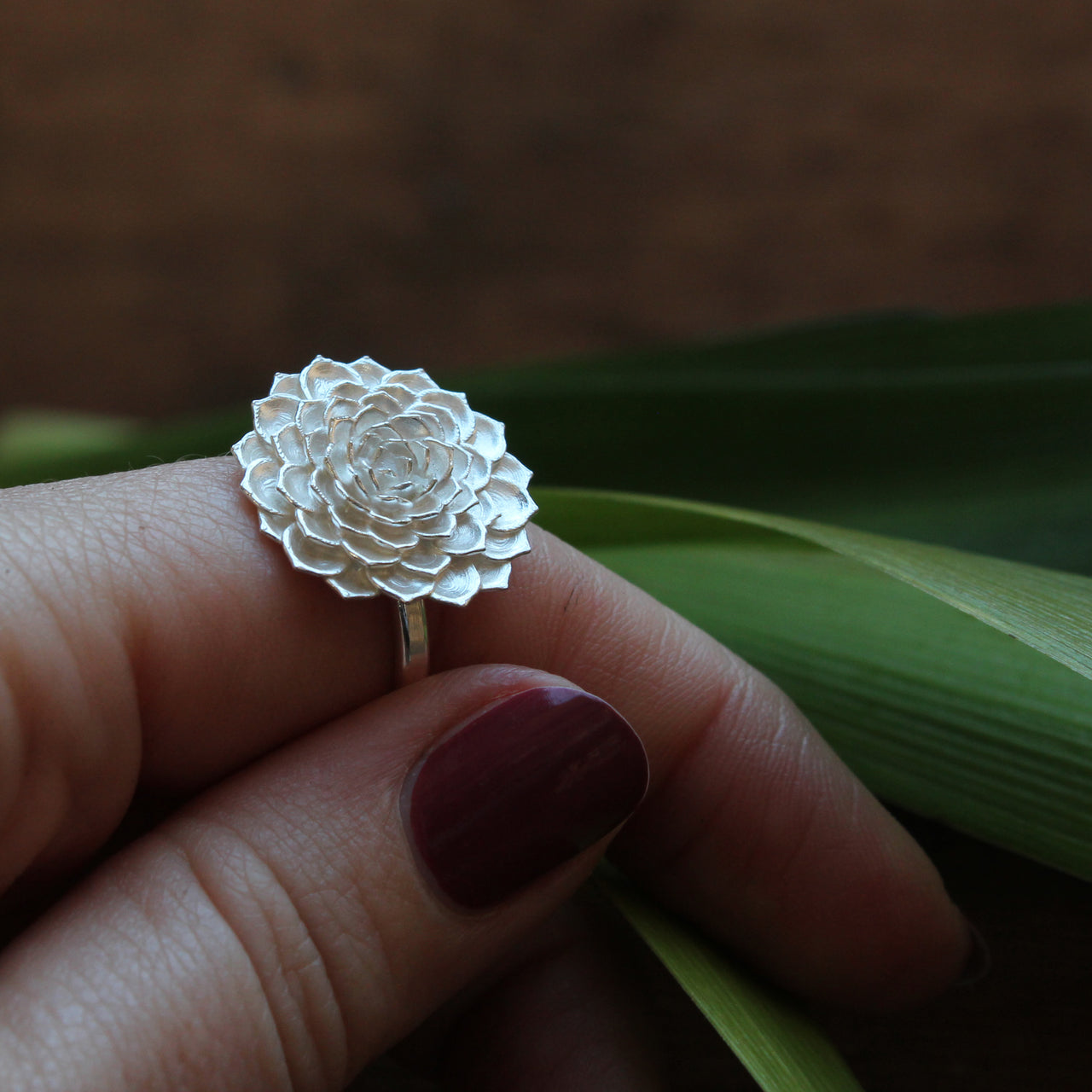 Aeonium ring - silver