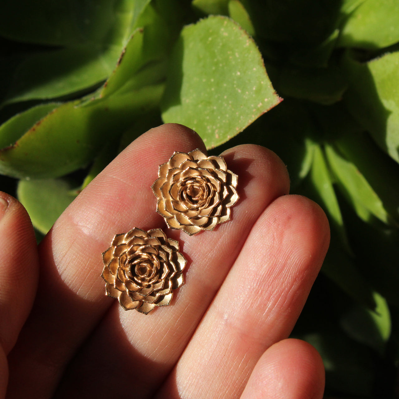 Aeonium studs - gold version