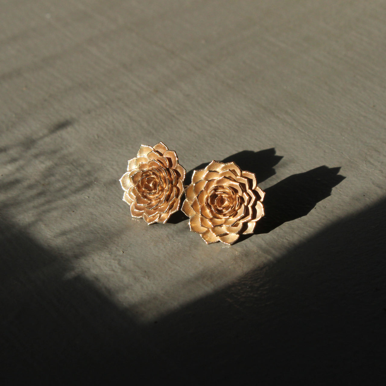 Aeonium studs - gold version