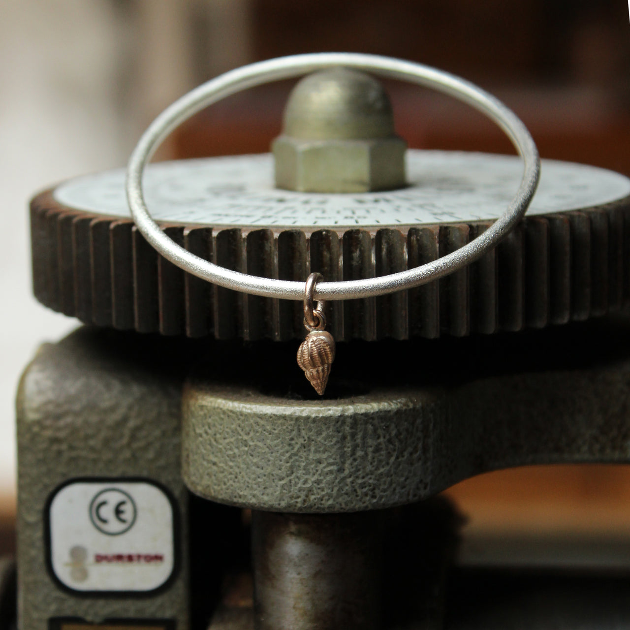 Oval bangle with gold dogwhelk