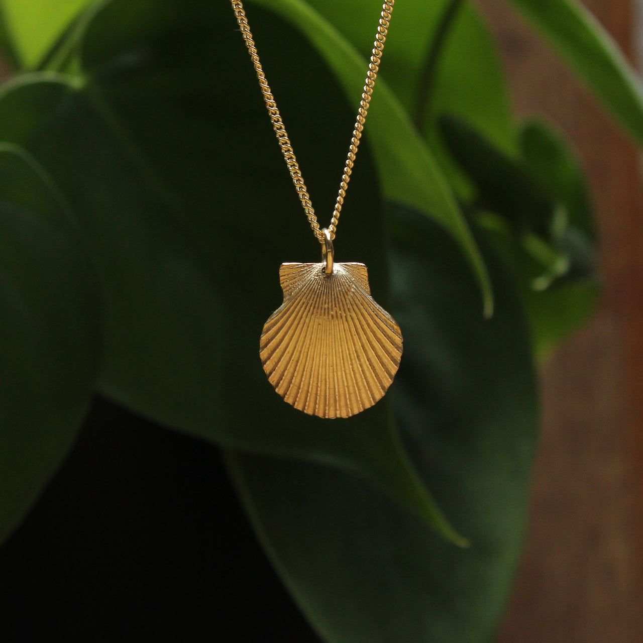 Medium large St Martin's scallop - gold