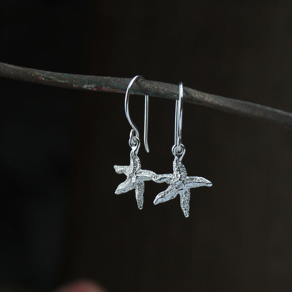 Tiny starfish hooks