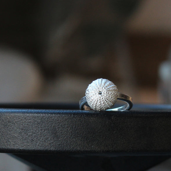 Urchin - small, St Martin's - on a broad silver band