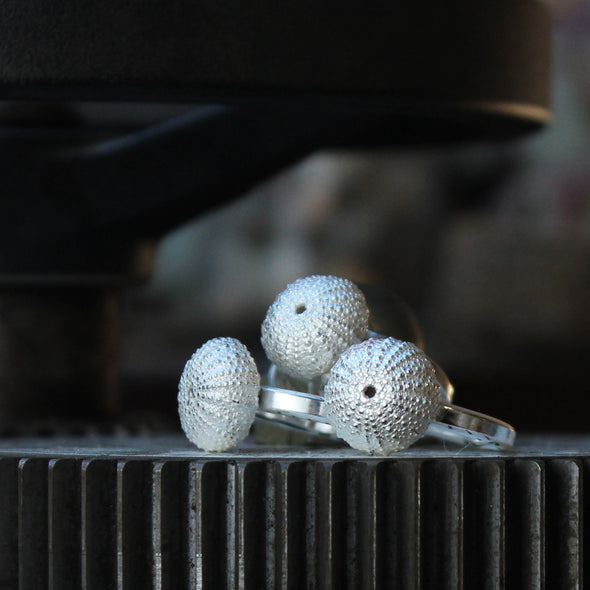 Urchin - small, St Martin's - on a broad silver band