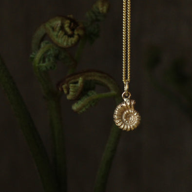 Ammonite - solid 9ct gold