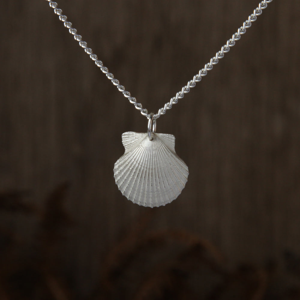 Medium Tresco scallop
