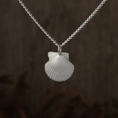 Medium Tresco scallop