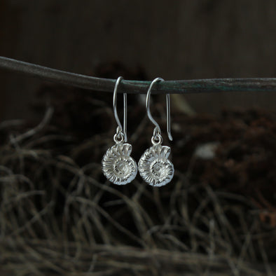 Ammonite hooks