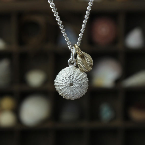 Urchin, small St Martin's & solid 9ct gold cowrie pair