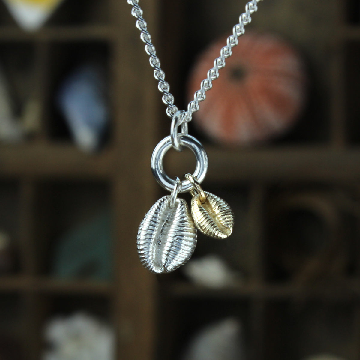 Two cowrie cluster - solid 9ct gold Agnes cowrie