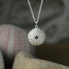 Large urchin - new version