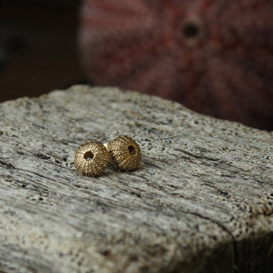 Tresco urchin studs - solid 9ct gold