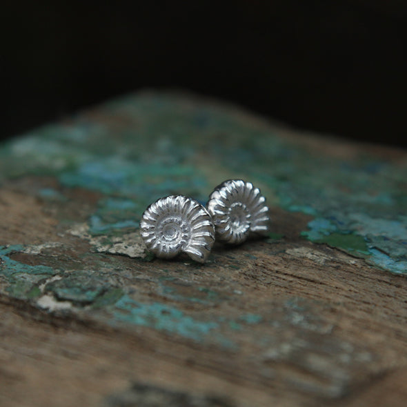 Ammonite studs